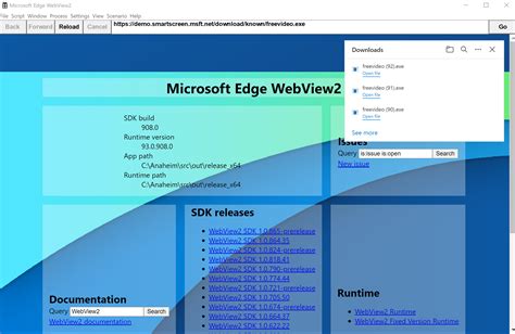 ms webview2 runtime